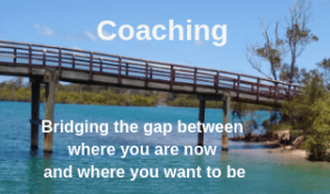 bridge-coaching